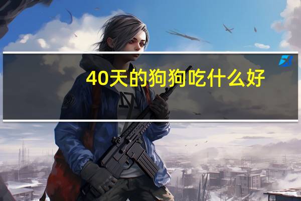40天的狗狗吃什么好