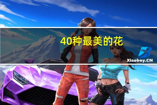 40种最美的花