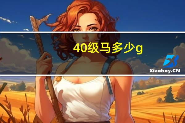 40级马多少g