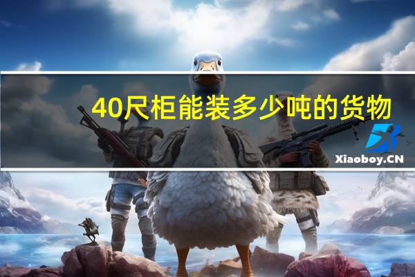 40尺柜能装多少吨的货物（40尺柜能装多少吨）