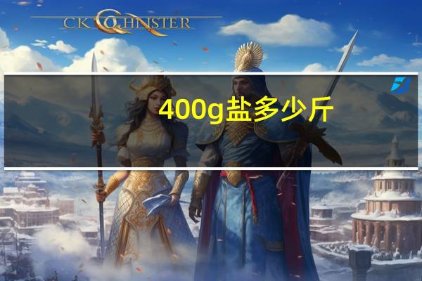 400g盐多少斤