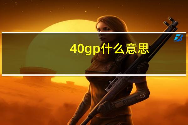 40gp什么意思