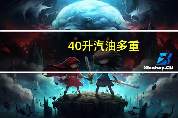 40升汽油多重