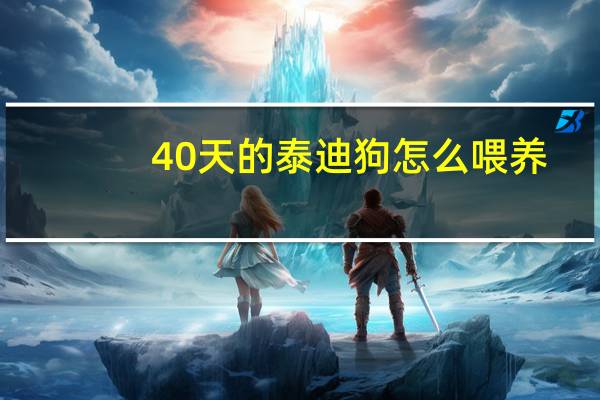 40天的泰迪狗怎么喂养