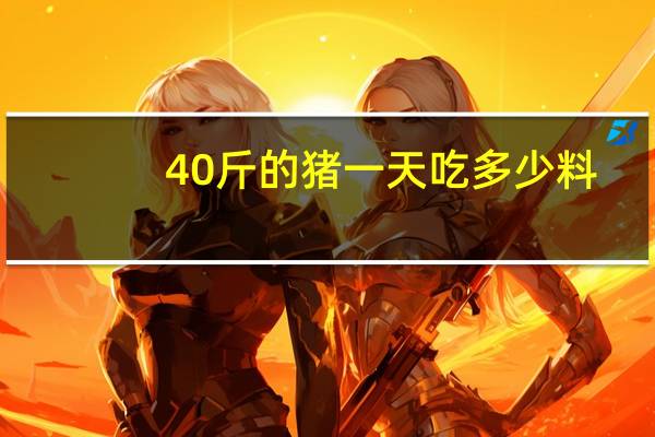 40斤的猪一天吃多少料