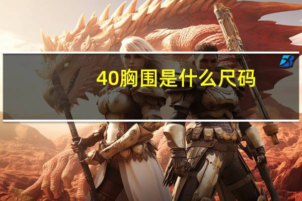 40胸围是什么尺码