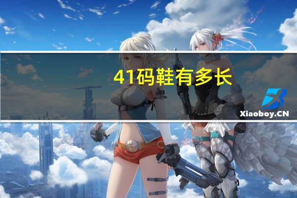 41码鞋有多长