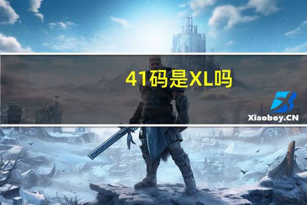 41码是XL吗