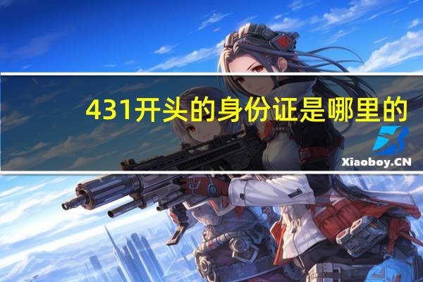 431开头的身份证是哪里的