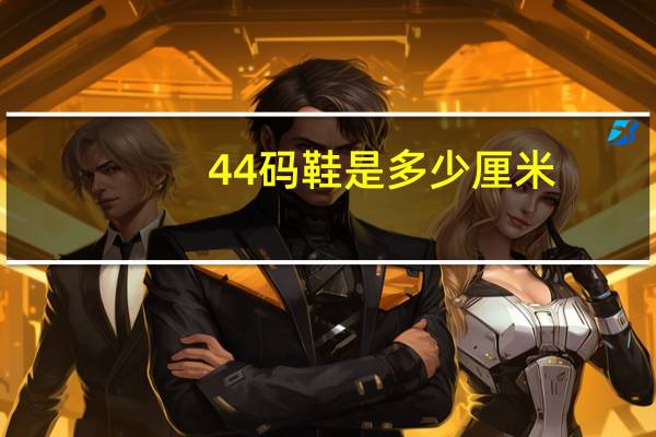 44码鞋是多少厘米