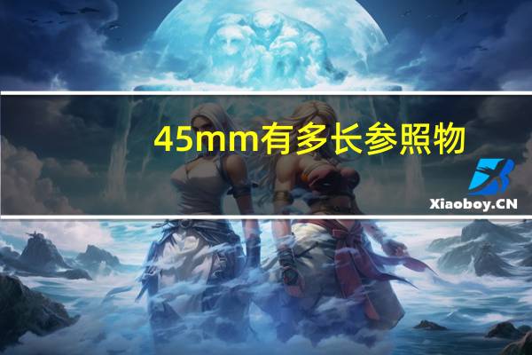 45mm有多长参照物
