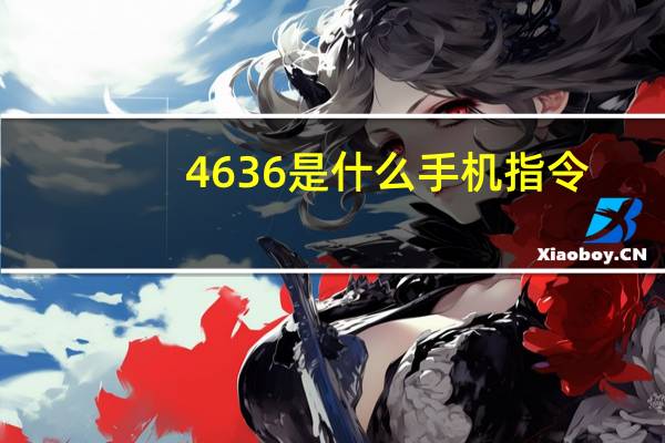 4636是什么手机指令