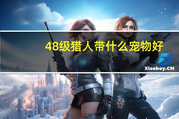 48级猎人带什么宠物好
