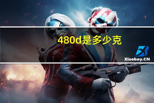480d是多少克