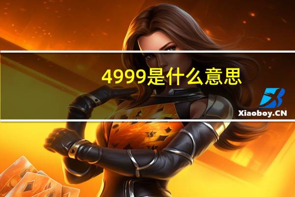 4999是什么意思
