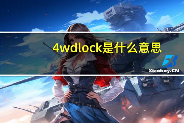 4wdlock是什么意思