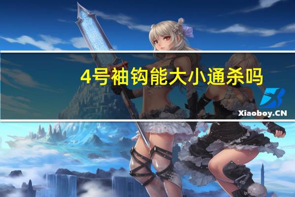 4号袖钩能大小通杀吗