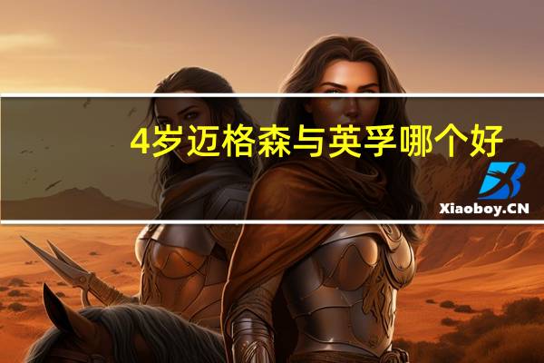 4岁迈格森与英孚哪个好