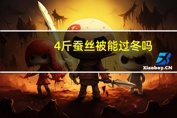 4斤蚕丝被能过冬吗