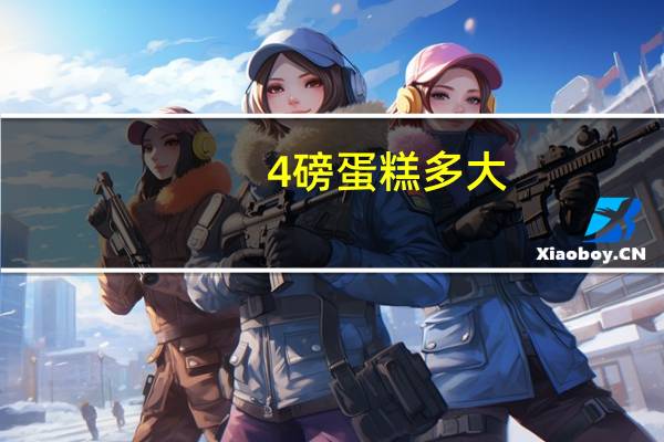 4磅蛋糕多大