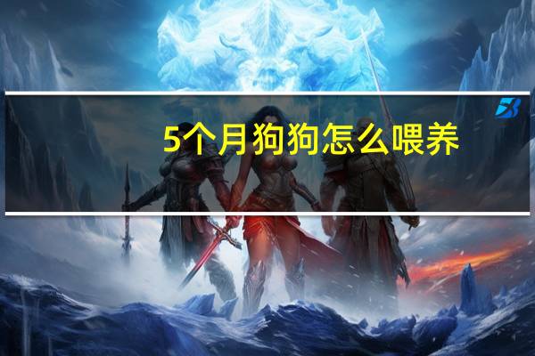 5个月狗狗怎么喂养