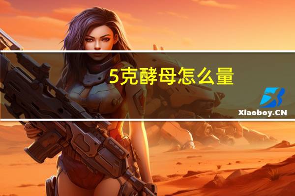5克酵母怎么量