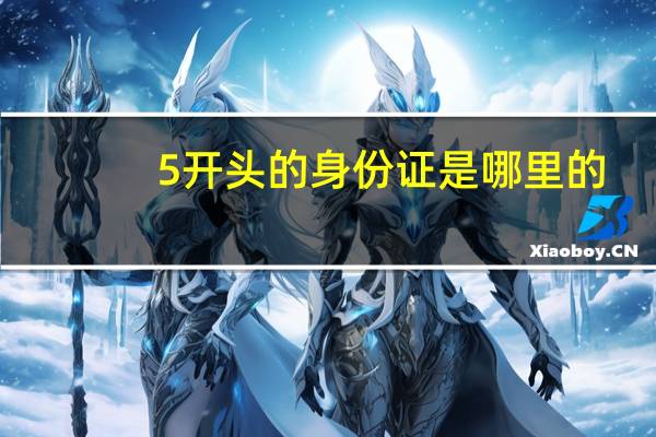 5开头的身份证是哪里的