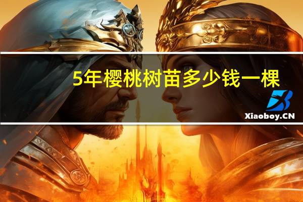 5年樱桃树苗多少钱一棵