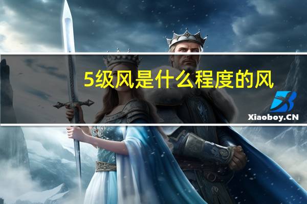 5级风是什么程度的风（5级风是什么概念）