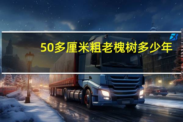 50多厘米粗老槐树多少年