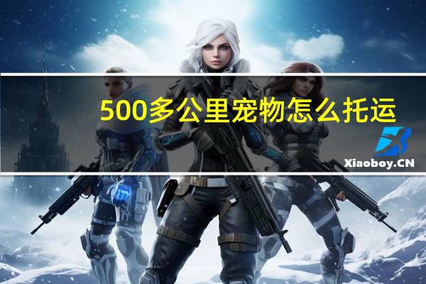 500多公里宠物怎么托运