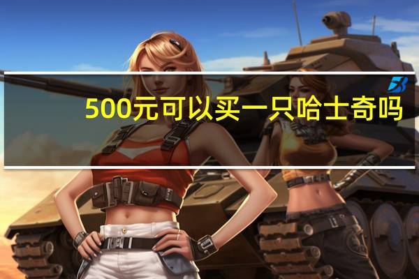 500元可以买一只哈士奇吗