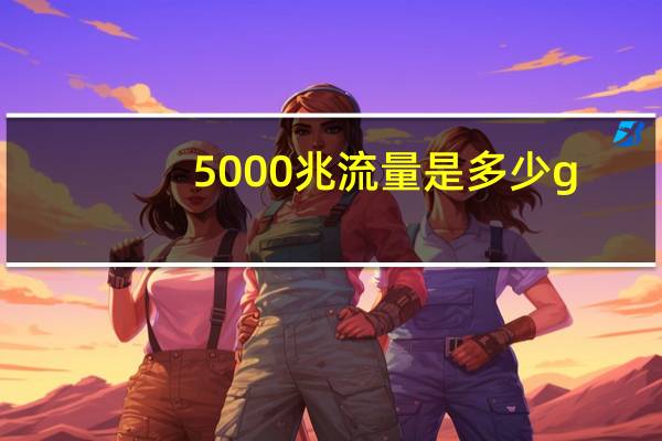 5000兆流量是多少g