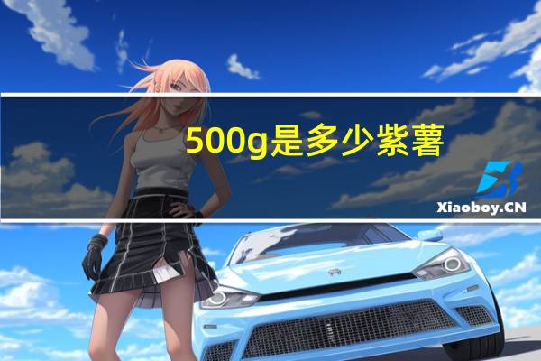 500g是多少紫薯