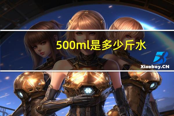500ml是多少斤水