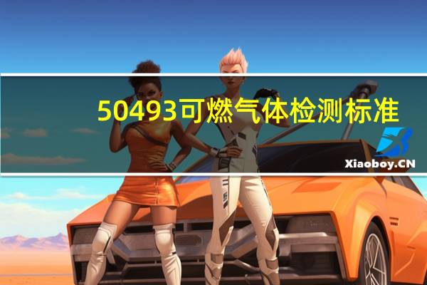50493可燃气体检测标准