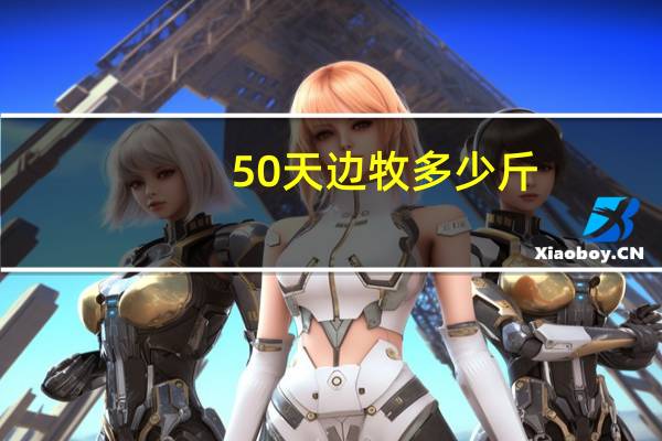 50天边牧多少斤