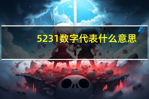 5231数字代表什么意思