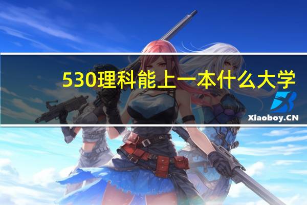 530理科能上一本什么大学