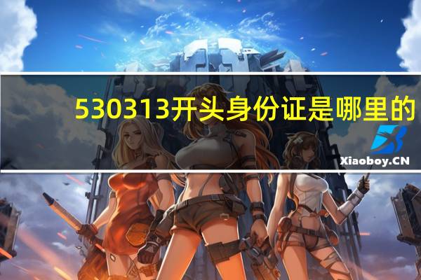 530313开头身份证是哪里的