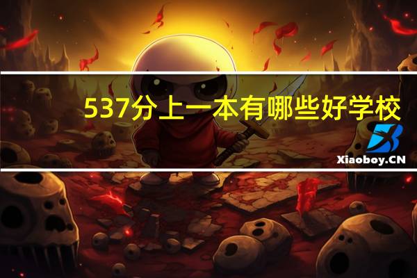 537分上一本有哪些好学校