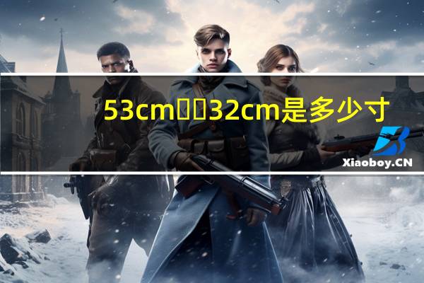 53cm✖️32cm是多少寸