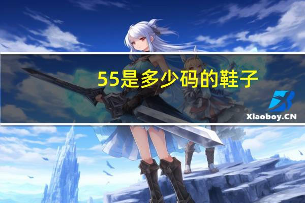 55是多少码的鞋子