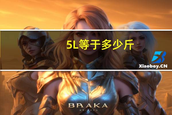 5L等于多少斤