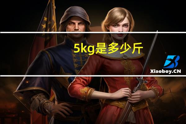 5kg是多少斤