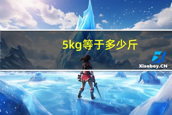 5kg等于多少斤