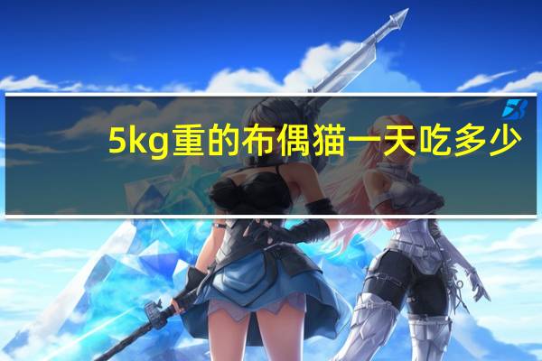 5kg重的布偶猫一天吃多少