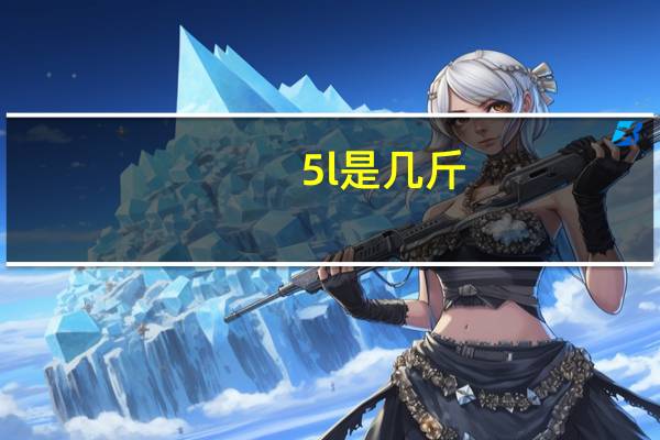 5l是几斤