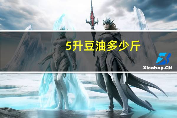 5升豆油多少斤