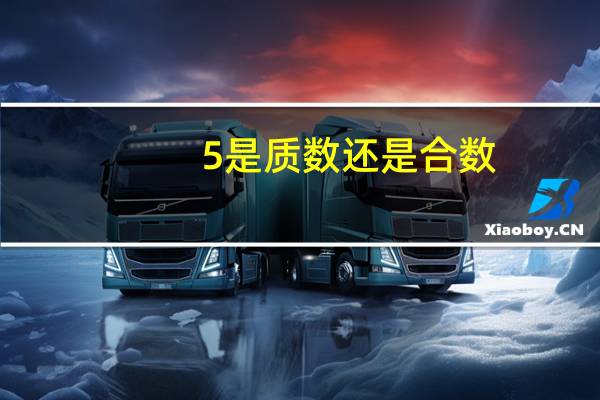 5是质数还是合数